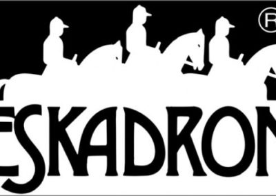 Eskadron